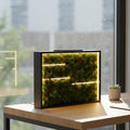 Solar-Powered Biophilic Moss Lamp