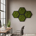 Acoustic Moss Wall Hexagon Set